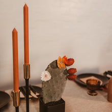 southern lights candle co dinner taper candle